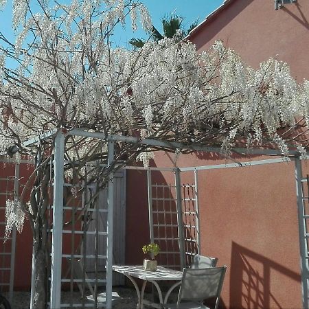 Gite Mas Uranie Le Soler Extérieur photo